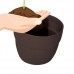 Bloomers Post Planter – Both Permanent and Temporary Installation Options – Garden in Tight Spaces – Terracotta   553246005